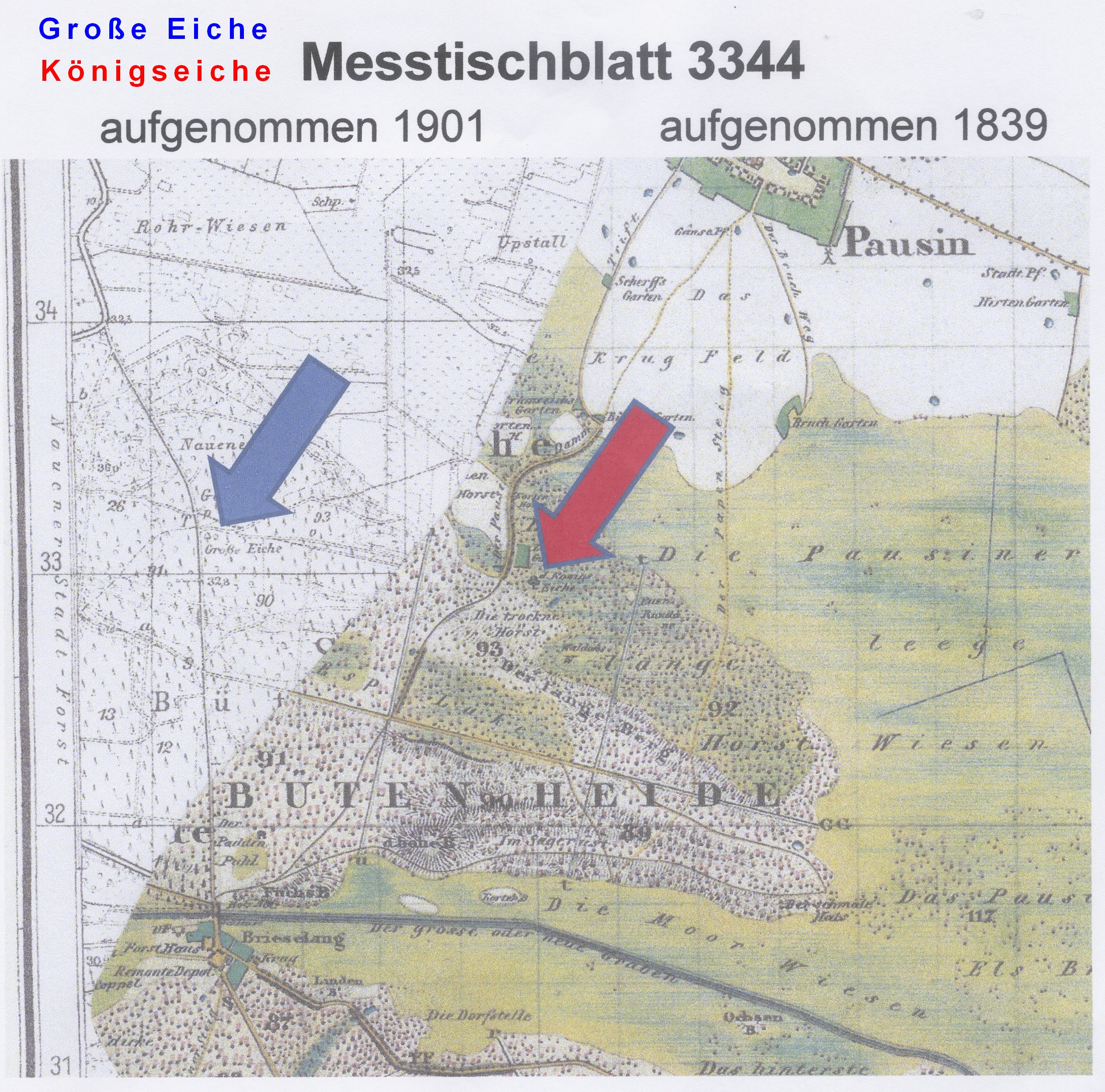 Standorte von Große Eiche + Königseiche, (c) by Karl-Heinz Graffenberger, Pausin