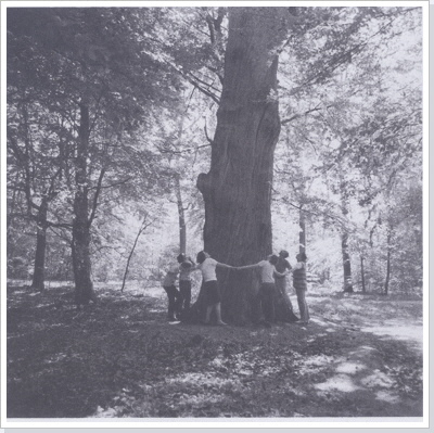 Die Gro&szlig;e Eiche im Jahre 1970 (c) by Museum und Galerie Falkensee, / Heinz Kr&uuml;ger